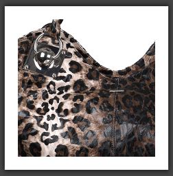 Pimpernel-FH2261-leopard-2